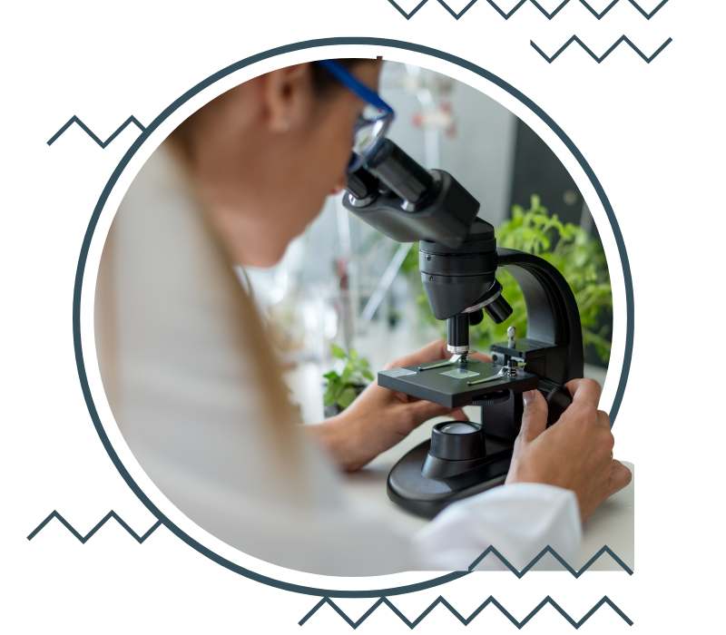 4f3d4f05-82ed-4996-a798-ccc98d49e731